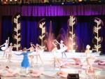 DSC05235.JPG