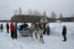 IMG0434.jpg